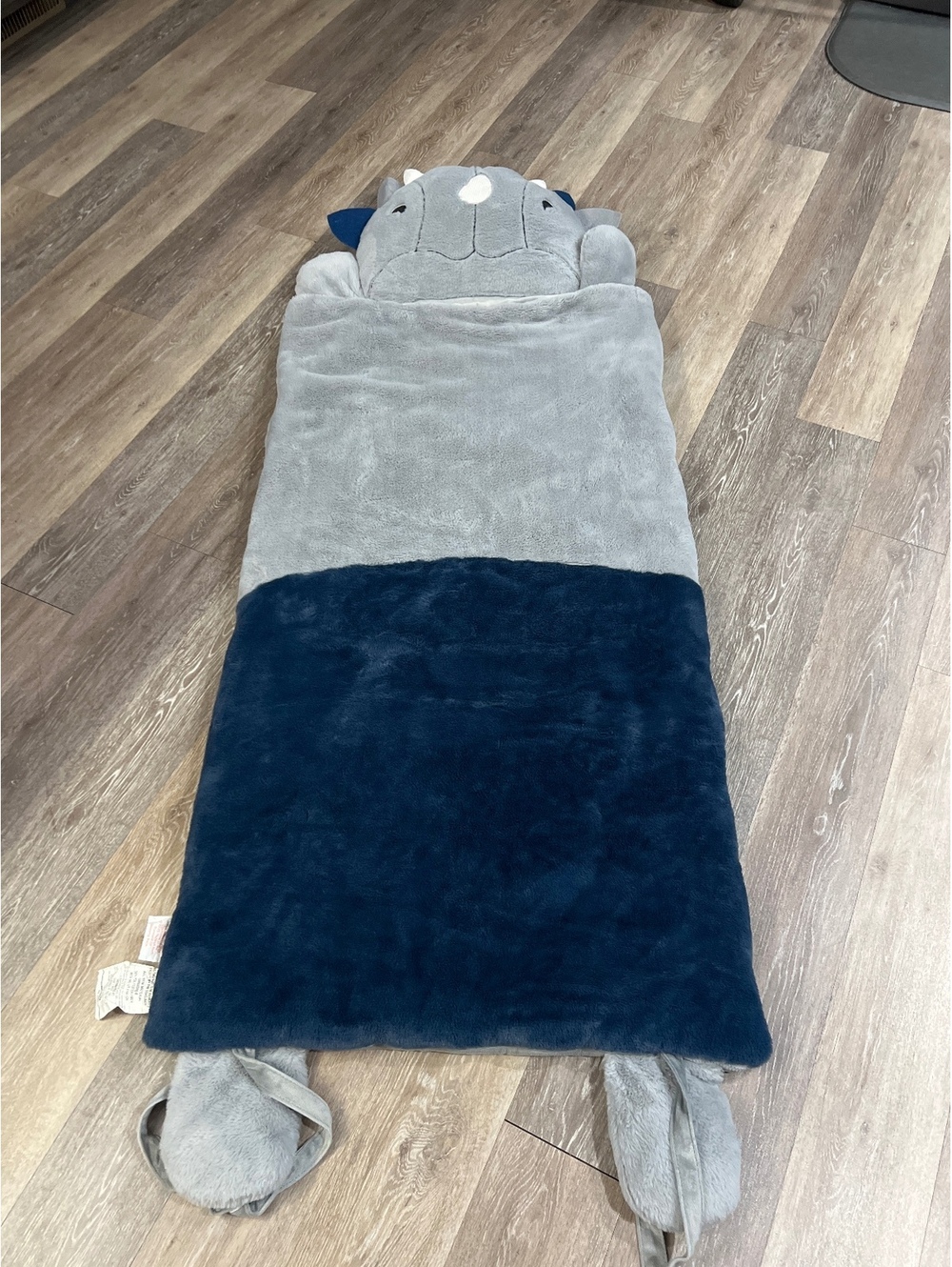Children's Dinosaur Themed Sleeping Bag with Plush Hood